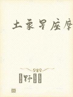 土象星座摩羯座