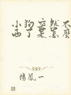 小狗突然不吃东西了是怎么回事