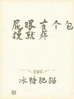 屁眼有个包 一摸就疼封面