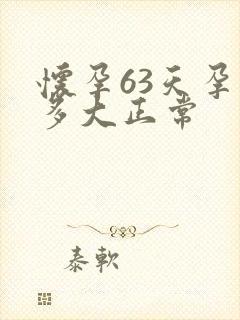 怀孕63天孕囊多大正常