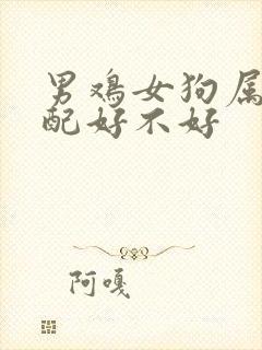 男鸡女狗属相婚配好不好