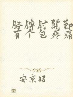 胳膊肘关节里面有个包疼痛