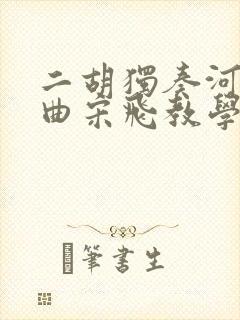 二胡独奏河南小曲宋飞教学视频