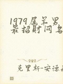 1979属羊男最招财网名