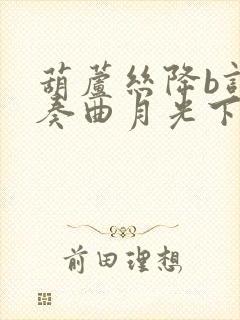 葫芦丝降b调伴奏曲月光下的凤尾竹mp3