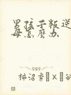 男孩子叛逆打父母怎么办