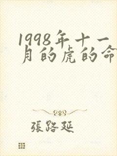 1998年十一月的虎的命运如何