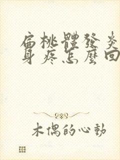 扁桃体发炎疼浑身疼怎么回事