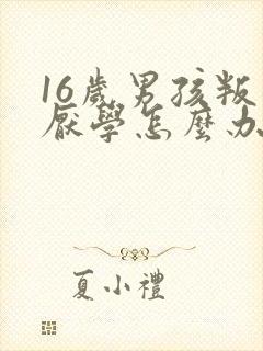 16岁男孩叛逆厌学怎么办封面