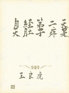 月经第二天第三天肚子疼是怎么回事封面