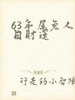 63年属兔人今日财运