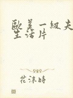 欧美一级夫妻性生活片