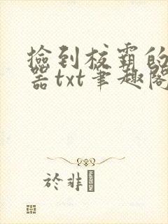 捡到校霸的遥控器txt笔趣阁