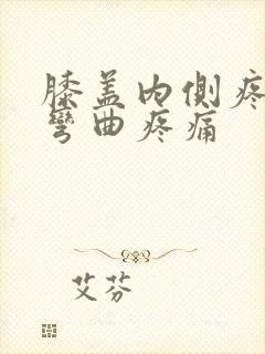 膝盖内侧疼痛 弯曲疼痛