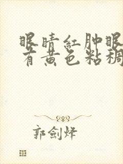 眼睛红肿眼屎多有黄色粘稠物药