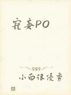 宠妾PO