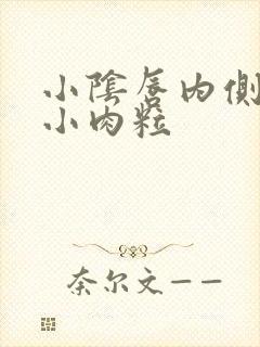 小阴唇内侧有个小肉粒