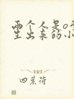 两个人是o型血生出来的小孩是什么血型