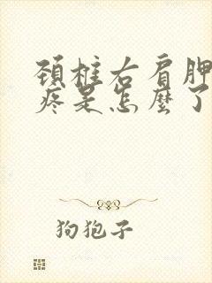 颈椎右肩胛骨处疼是怎么了封面