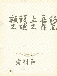 额头上长的痘痘又硬又痛怎么去除封面