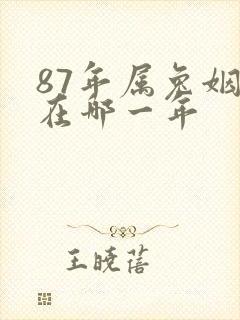 87年属兔姻缘在哪一年