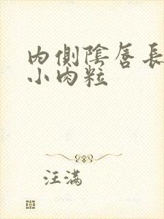 内侧阴唇长了个小肉粒