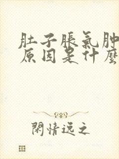 肚子胀气肿大的原因是什么