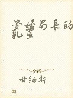 贵妇局长的蕾丝乳罩封面