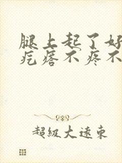 腿上起了好多红疙瘩不疼不痒