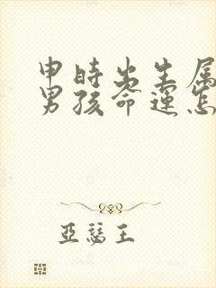 申时出生属猴的男孩命运怎么样