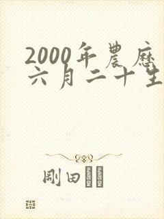2000年农历六月二十生辰八字