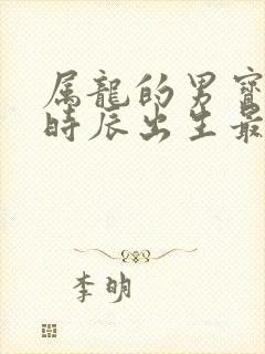 属龙的男宝什么时辰出生最好命封面