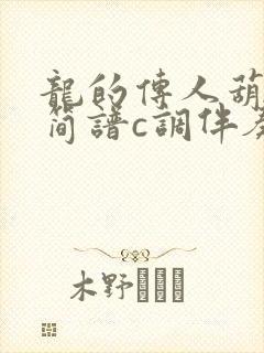 龙的传人葫芦丝简谱c调伴奏