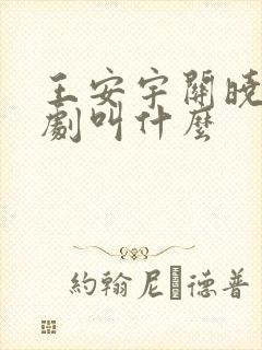 王安宇关晓彤新剧叫什么