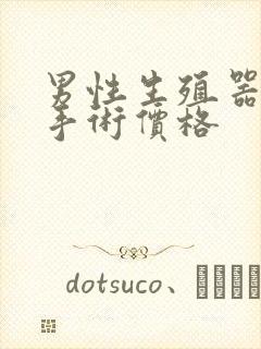 男性生殖器延长手术价格