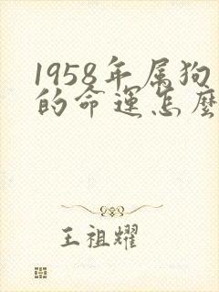 1958年属狗的命运怎么样