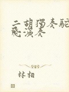 二胡独奏驼铃宋飞演奏