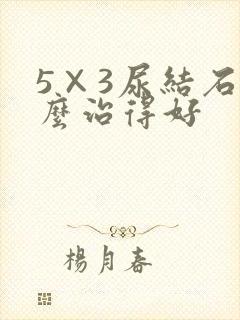 5×3尿结石怎么治得好封面