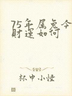 75年属兔今年财运如何