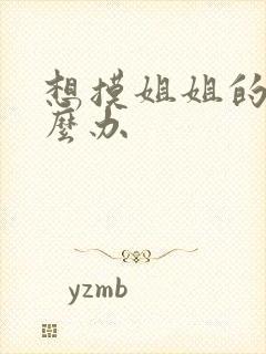 想摸姐姐的胸怎么办