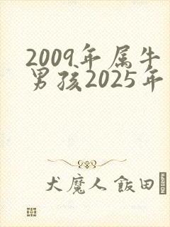 2009年属牛男孩2025年学业运
