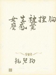 女生被捏胸是什么感觉封面