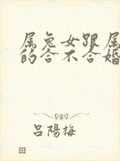 属兔女跟属蛇男的合不合婚