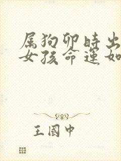 属狗卯时出生的女孩命运如何封面