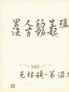 男人的生殖器官没有勃起