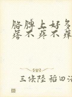 胳膊上好多小疙瘩不疼不痒封面