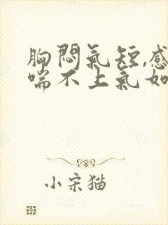 胸闷气短,感觉喘不上气如何治疗