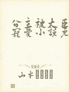 公主被大臣轮番宠爱小说免费阅读