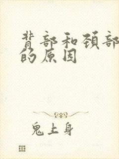 背部和颈部酸痛的原因