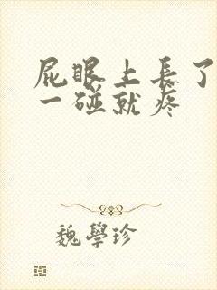 屁眼上长了个包一碰就疼